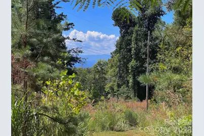 401 Â± Upper Flat Creek Road, Weaverville, NC 28787 - Photo 15