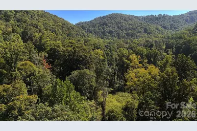 300 Â± Acres Upper Flat Creek Road, Weaverville, NC 28787 - Photo 25