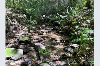 300 Â± Acres Upper Flat Creek Road, Weaverville, NC 28787 - Photo 27