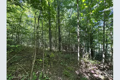 300 Â± Acres Upper Flat Creek Road, Weaverville, NC 28787 - Photo 35