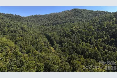 300 Â± Acres Upper Flat Creek Road, Weaverville, NC 28787 - Photo 39