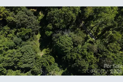 101 Â± Acres Timbersong Drive, Weaverville, NC 28787 - Photo 25