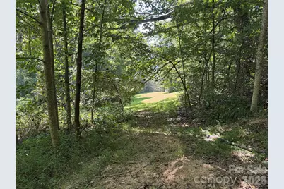 101 Â± Acres Timbersong Drive, Weaverville, NC 28787 - Photo 29