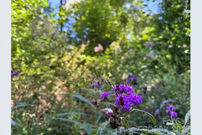 101 Â± Acres Timbersong Drive, Weaverville, NC 28787 - Photo 27