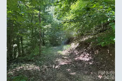 101 Â± Acres Timbersong Drive, Weaverville, NC 28787 - Photo 13