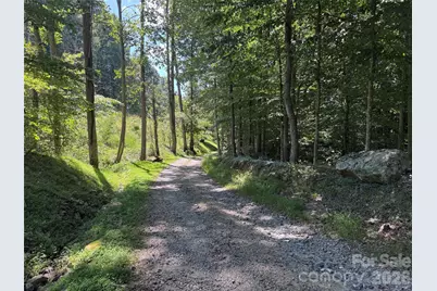 101 Â± Acres Timbersong Drive, Weaverville, NC 28787 - Photo 15