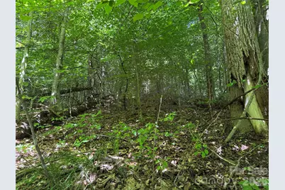101 Â± Acres Timbersong Drive, Weaverville, NC 28787 - Photo 17