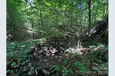 101 Â± Acres Timbersong Drive, Weaverville, NC 28787 - Photo 11
