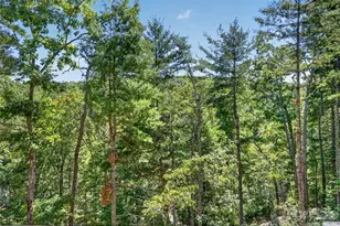 594 McMillan Dr, Hendersonville, NC 28792 - Photo 25
