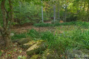 99 Cripple Creek Rd, Waynesville, NC 28785 - Photo 33