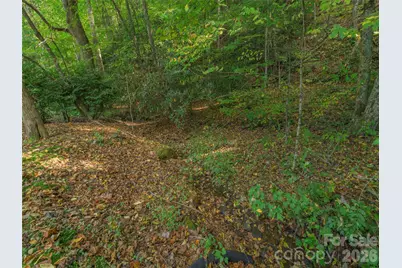 99 Cripple Creek Road, Waynesville, NC 28785 - Photo 29