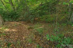 99 Cripple Creek Rd, Waynesville, NC 28785 - Photo 29