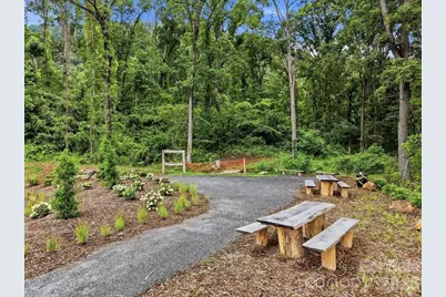 241 Smokey Holler Drive, Asheville, NC 28803 - Photo 15