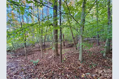 00 Forsythia Hedge Drive, Fletcher, NC 28732 - Photo 3