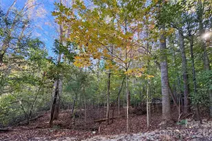 00 Forsythia Hedge Dr, Fletcher, NC 28732 - Photo 1