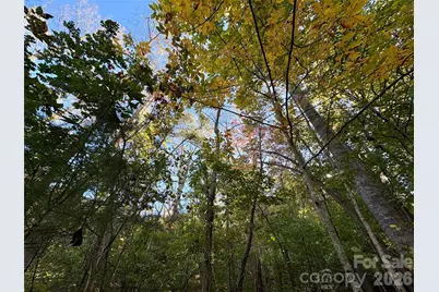 00 Forsythia Hedge Drive, Fletcher, NC 28732 - Photo 5