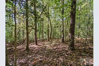000 Conifer Way, Shelby, NC 28150 - Photo 13