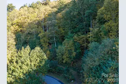 55 Bartrams Walk Drive, Asheville, NC 28804 - Photo 17