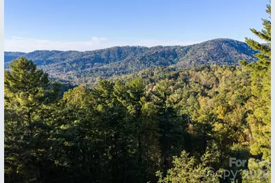 55 Bartrams Walk Drive, Asheville, NC 28804 - Photo 13