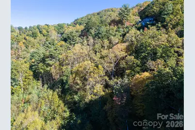 55 Bartrams Walk Drive, Asheville, NC 28804 - Photo 33