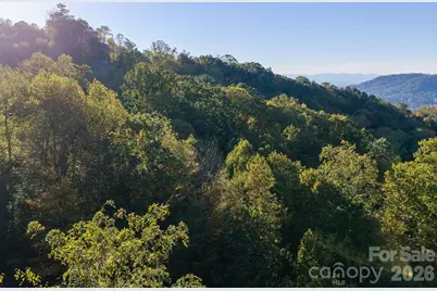 55 Bartrams Walk Drive, Asheville, NC 28804 - Photo 11