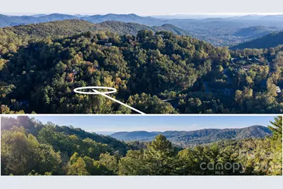 55 Bartrams Walk Drive, Asheville, NC 28804 - Photo 1