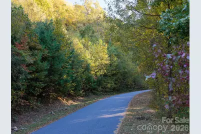 55 Bartrams Walk Drive, Asheville, NC 28804 - Photo 25