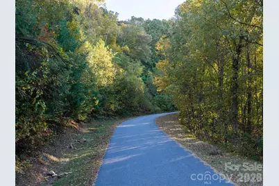 55 Bartrams Walk Drive, Asheville, NC 28804 - Photo 5