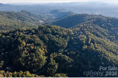 55 Bartrams Walk Drive, Asheville, NC 28804 - Photo 21