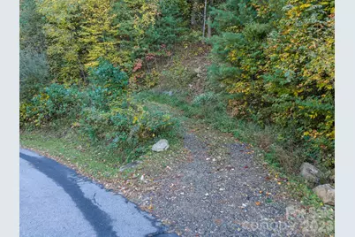 55 Bartrams Walk Drive, Asheville, NC 28804 - Photo 7