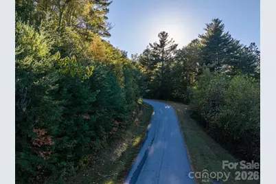 55 Bartrams Walk Drive, Asheville, NC 28804 - Photo 23