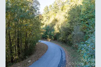 55 Bartrams Walk Drive, Asheville, NC 28804 - Photo 15
