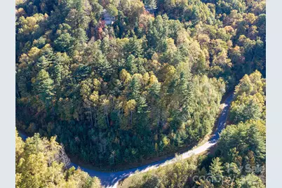 55 Bartrams Walk Drive, Asheville, NC 28804 - Photo 27