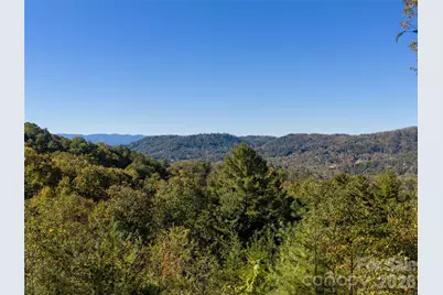 55 Bartrams Walk Drive, Asheville, NC 28804 - Photo 29