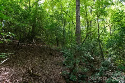 0 Bobcat Way, Lake Lure, NC 28746 - Photo 5