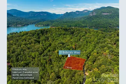 0 Bobcat Way, Lake Lure, NC 28746 - Photo 1