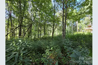 3009 Dellwood Road, Waynesville, NC 28786 - Photo 33