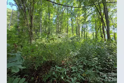 3009 Dellwood Road, Waynesville, NC 28786 - Photo 35