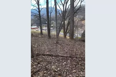 3009 Dellwood Road, Waynesville, NC 28786 - Photo 29