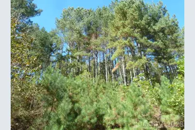 144 Table Rock Trace NW #163, Valdese, NC 28690 - Photo 7