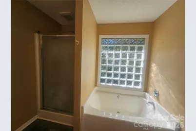 7313 Veranda Drive, Waxhaw, NC 28173 - Photo 13