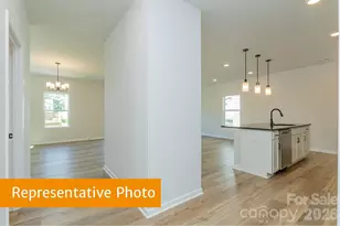 4224 Ruth Crk Ct, Charlotte, NC 28216 - Photo 3