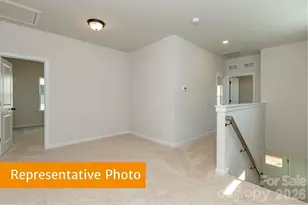 4224 Ruth Crk Ct, Charlotte, NC 28216 - Photo 17