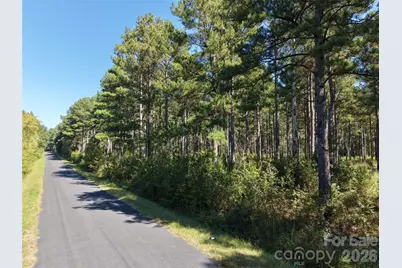 393 Red Hill Road, Wadesboro, NC 28170 - Photo 5