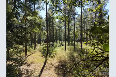 393 Red Hill Road, Wadesboro, NC 28170 - Photo 45