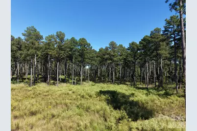 393 Red Hill Road, Wadesboro, NC 28170 - Photo 35