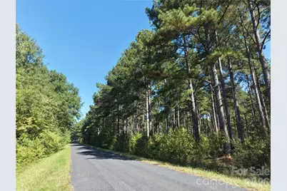 393 Red Hill Road, Wadesboro, NC 28170 - Photo 7