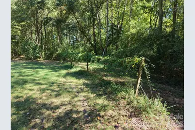 393 Red Hill Road, Wadesboro, NC 28170 - Photo 39
