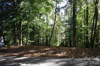0 General Griffith Circle #29, Rutherfordton, NC 28139 - Photo 5