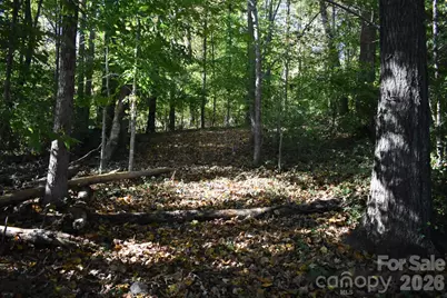 0 General Griffith Circle #29, Rutherfordton, NC 28139 - Photo 3